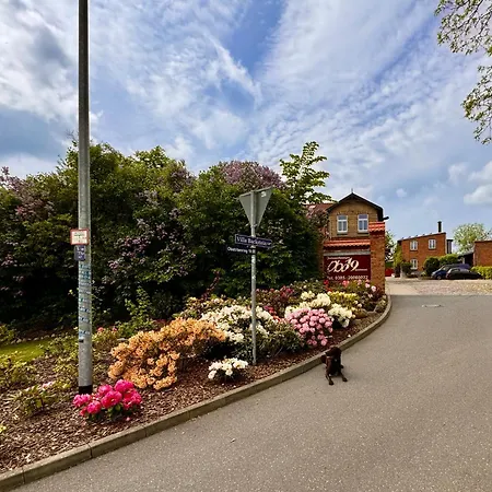 Apartment Backstein Mit Zentraler Lage Im Grünen Kostenfreien Parkplätzen Und 8 E - Ladestationen