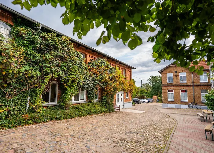 Backstein Obo19 * شفيرين